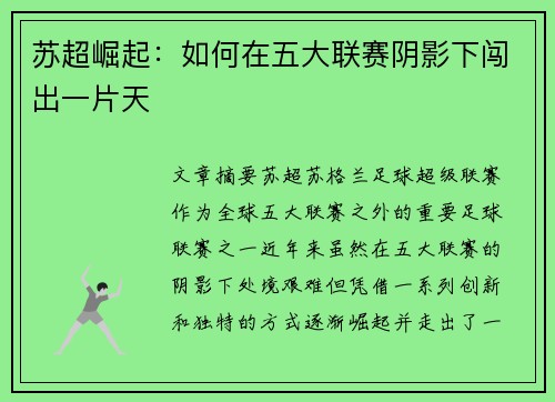苏超崛起：如何在五大联赛阴影下闯出一片天